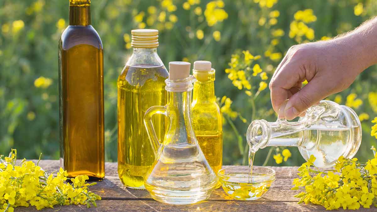 HEALTH BENEFITS OF CANOLA OIL